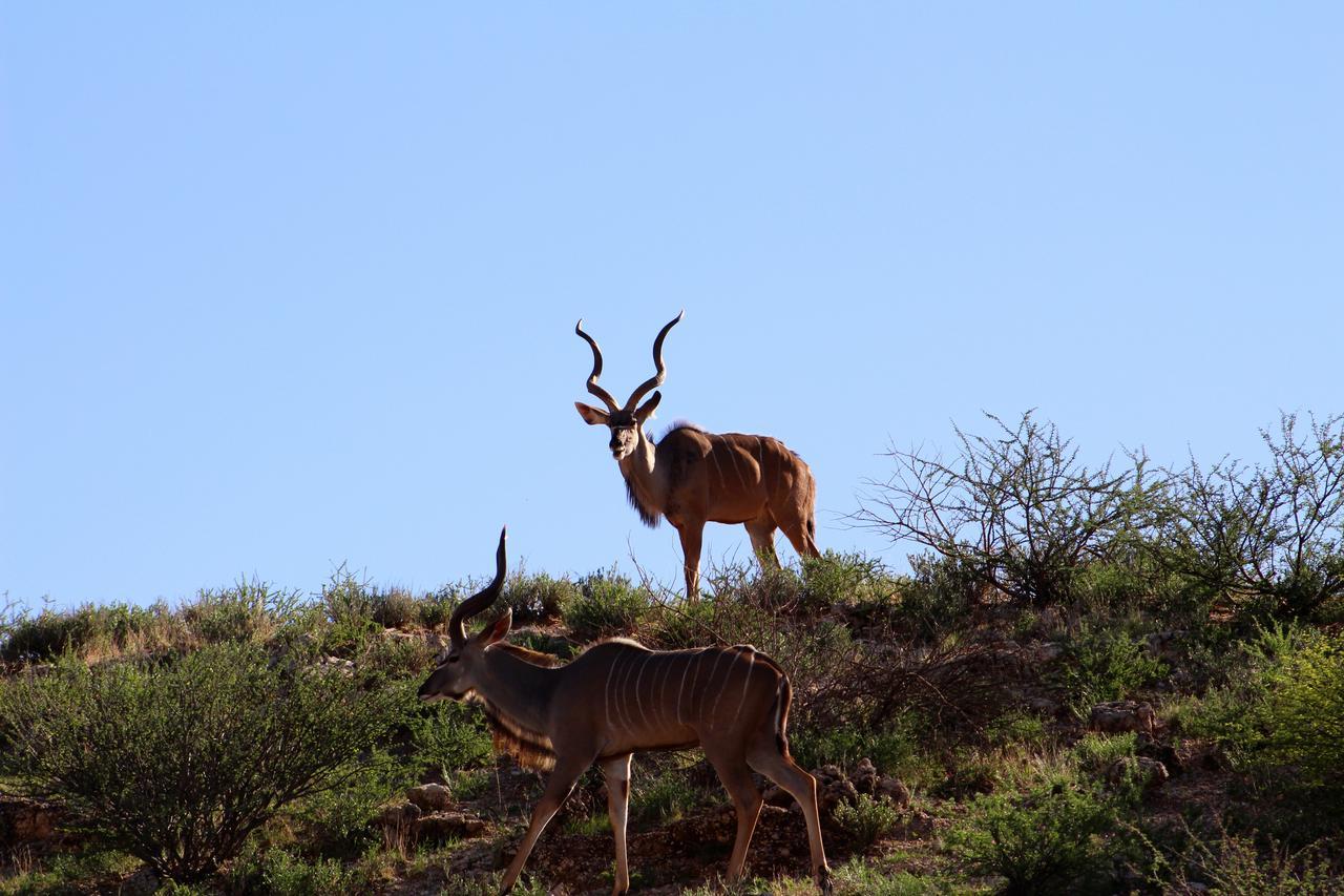 Kgalagadi Lodge Askham ภายนอก รูปภาพ
