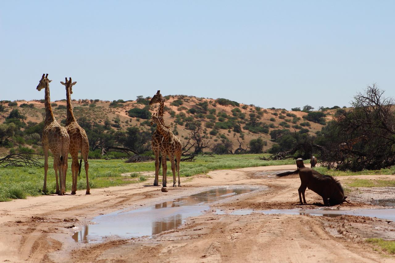 Kgalagadi Lodge Askham ภายนอก รูปภาพ