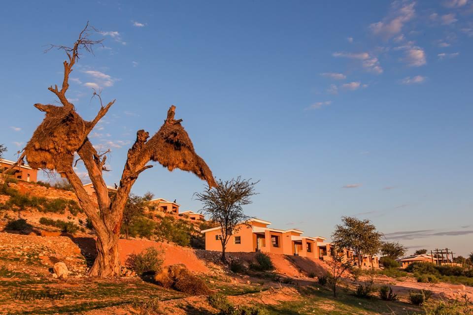 Kgalagadi Lodge Askham ภายนอก รูปภาพ